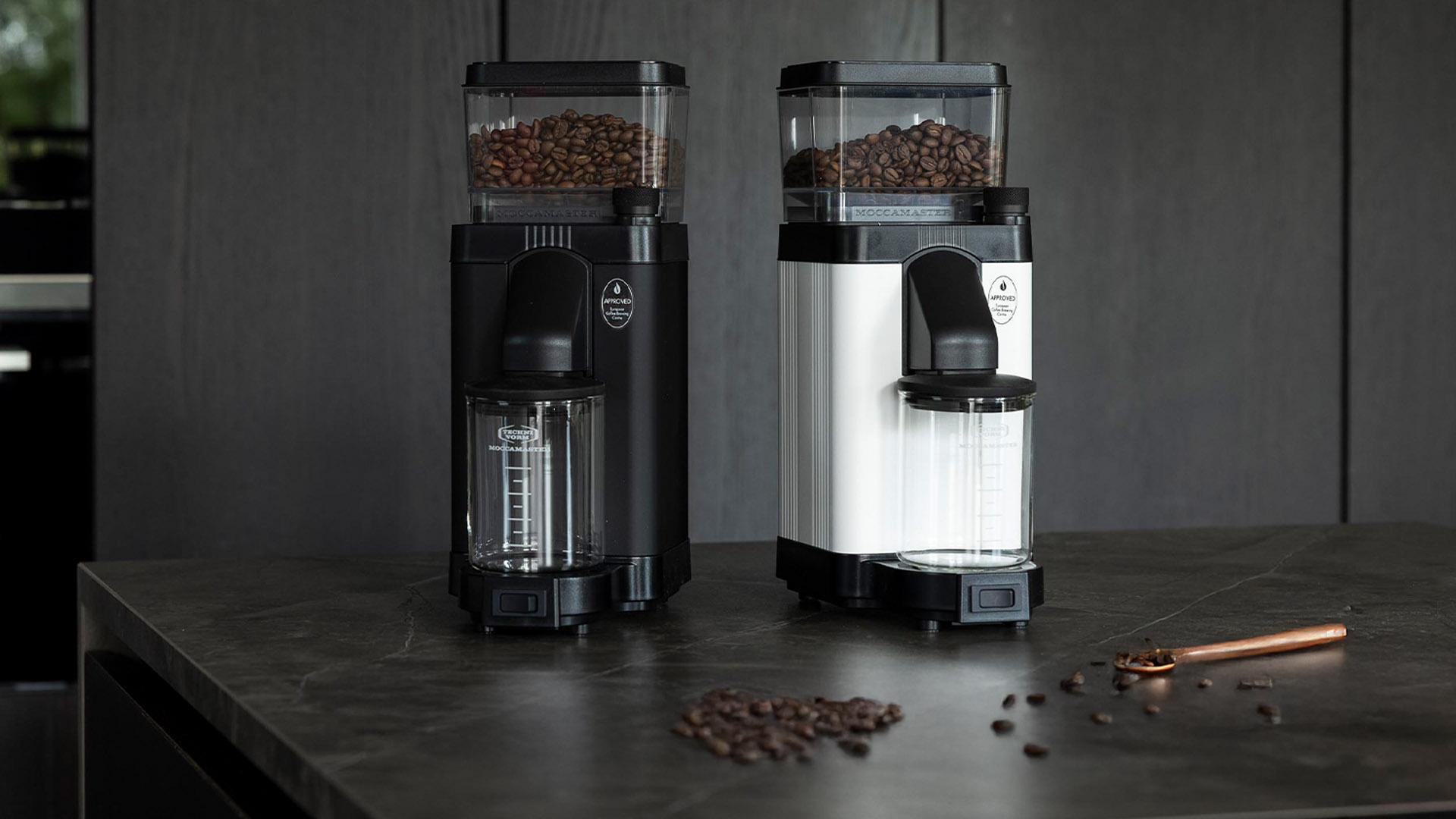 La différence entre les grains de café Arabica et Robusta