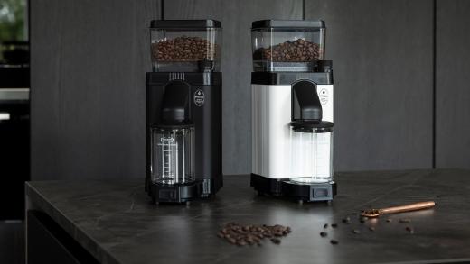 La différence entre les grains de café Arabica et Robusta